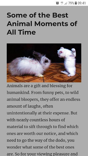 Run android online APK Funny Humor from MyAndroid or emulate Funny Humor using MyAndroid