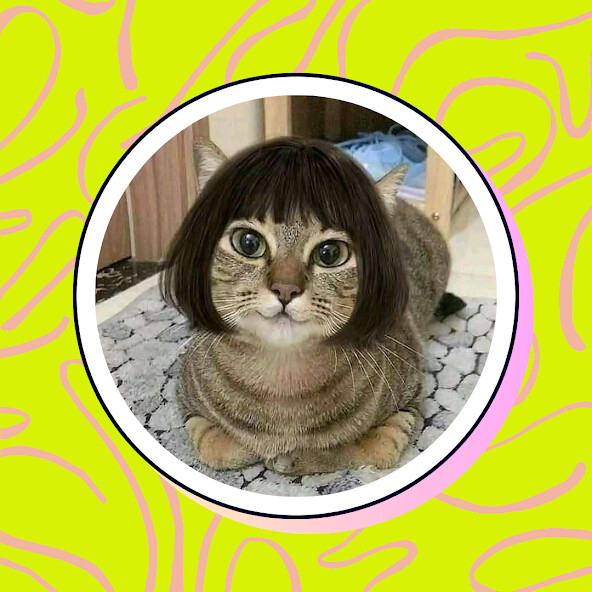 Run android online APK Funny Kawaii pfp from MyAndroid or emulate Funny Kawaii pfp using MyAndroid Run android online APK Funny Kawaii pfp from MyAndroid or emulate Funny Kawaii pfp using MyAndroid