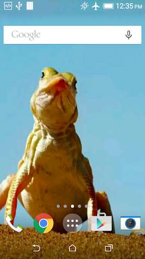 Emulate Android APK Funny Lizard Live Wallpaper