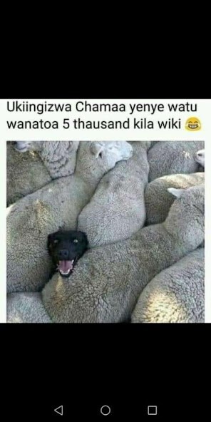 Run android online APK Funny Memes - Kenya from MyAndroid or emulate Funny Memes - Kenya using MyAndroid