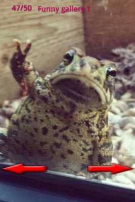 Emulate Android APK Funny Pics 2013