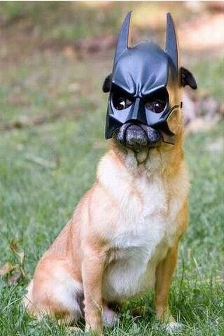 Emulate Android APK Funny pictures 18