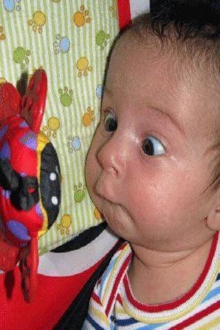 Run android online APK Funny pictures 30 from MyAndroid or emulate Funny pictures 30 using MyAndroid