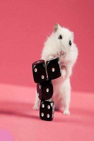 Run android online APK Funny pictures 46 from MyAndroid or emulate Funny pictures 46 using MyAndroid Run android online APK Funny pictures 46 from MyAndroid or emulate Funny pictures 46 using MyAndroid