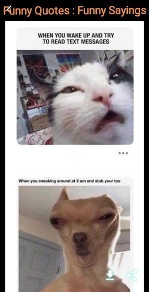 Run android online APK Funny Quotes : Funny Sayings from MyAndroid or emulate Funny Quotes : Funny Sayings using MyAndroid Run android online APK Funny Quotes : Funny Sayings from MyAndroid or emulate Funny Quotes : Funny Sayings using MyAndroid
