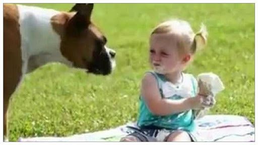 Run android online APK Funny videos, heavy jokes from MyAndroid or emulate Funny videos, heavy jokes using MyAndroid Run android online APK Funny videos, heavy jokes from MyAndroid or emulate Funny videos, heavy jokes using MyAndroid