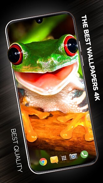 Run android online APK Funny wallpapers from MyAndroid or emulate Funny wallpapers using MyAndroid Run android online APK Funny wallpapers from MyAndroid or emulate Funny wallpapers using MyAndroid