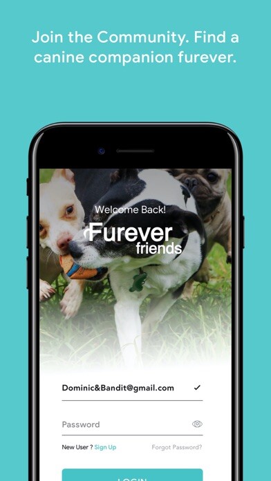 Run android online APK FurEver Friends APP from MyAndroid or emulate FurEver Friends APP using MyAndroid Run android online APK FurEver Friends APP from MyAndroid or emulate FurEver Friends APP using MyAndroid