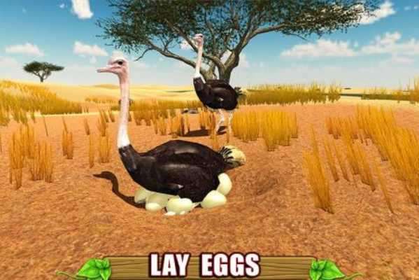 Emulate Android APK Furious Ostrich Simulator Emulate Android APK Furious Ostrich Simulator