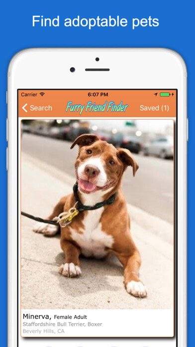 Emulate iPhone app Furry Friend Finder Pet Rescue using MyAndroid