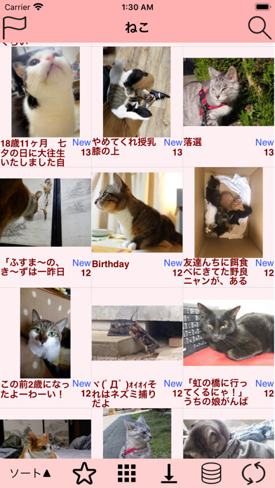 Emulate iPhone app futatubo using MyAndroid