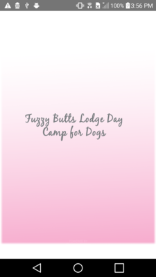 Emulate Android APK Fuzzy Butts Lodge