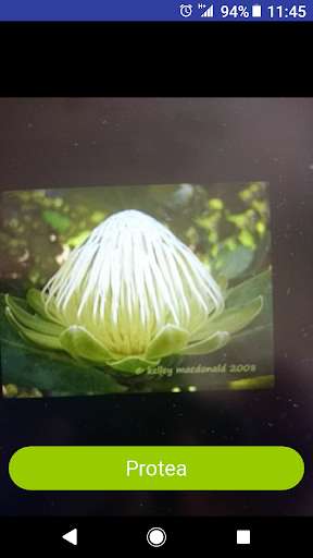 Run android online APK Fynbos Flower ID from MyAndroid or emulate Fynbos Flower ID using MyAndroid