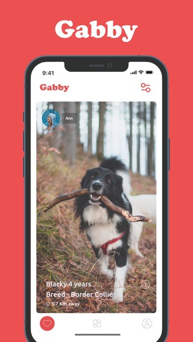 Run android online APK Gabby - dating/health for dogs from MyAndroid or emulate Gabby - dating/health for dogs using MyAndroid Run android online APK Gabby - dating/health for dogs from MyAndroid or emulate Gabby - dating/health for dogs using MyAndroid