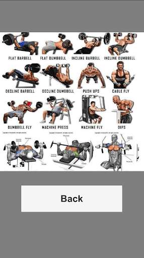 Run android online APK Gain Muscles from MyAndroid or emulate Gain Muscles using MyAndroid Run android online APK Gain Muscles from MyAndroid or emulate Gain Muscles using MyAndroid