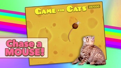 Emulate iPhone app Game for Cats using MyAndroid Emulate iPhone app Game for Cats using MyAndroid