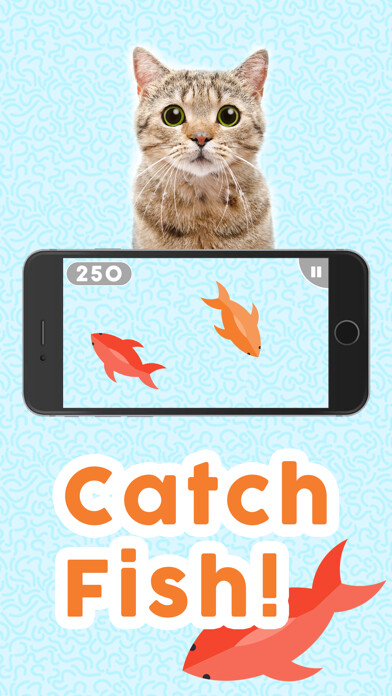 Emulate iPhone app Games for Cats! using MyAndroid