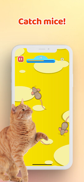 Run android online APK Games for Cat?Toy Mouse Fish from MyAndroid or emulate Games for Cat?Toy Mouse Fish using MyAndroid Run android online APK Games for Cat?Toy Mouse Fish from MyAndroid or emulate Games for Cat?Toy Mouse Fish using MyAndroid