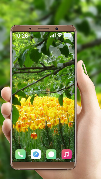 Run android online APK Garden Flowers Wallpaper from MyAndroid or emulate Garden Flowers Wallpaper using MyAndroid Run android online APK Garden Flowers Wallpaper from MyAndroid or emulate Garden Flowers Wallpaper using MyAndroid