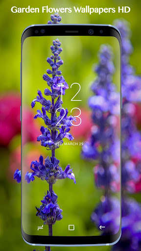 Run android online APK Garden Flower Wallpapers HD from MyAndroid or emulate Garden Flower Wallpapers HD using MyAndroid