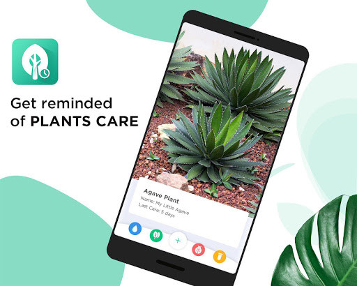 Run android online APK Gardening App: Plant Care & Plant Watering Tracker from MyAndroid or emulate Gardening App: Plant Care & Plant Watering Tracker using MyAndroid Run android online APK Gardening App: Plant Care & Plant Watering Tracker from MyAndroid or emulate Gardening App: Plant Care & Plant Watering Tracker using MyAndroid