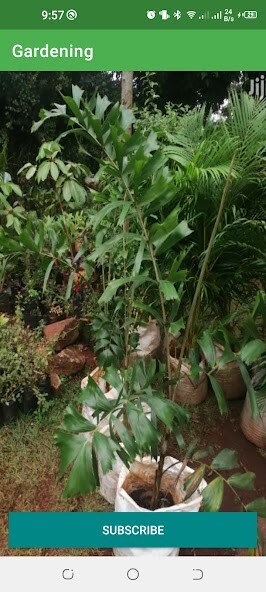 Run android online APK Gardening from MyAndroid or emulate Gardening using MyAndroid Run android online APK Gardening from MyAndroid or emulate Gardening using MyAndroid