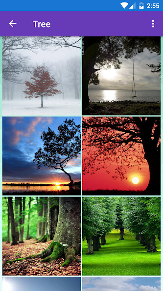 Run android online APK Garden, Landscape, Spring, Tre from MyAndroid or emulate Garden, Landscape, Spring, Tre using MyAndroid Run android online APK Garden, Landscape, Spring, Tre from MyAndroid or emulate Garden, Landscape, Spring, Tre using MyAndroid