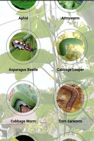 Run android online APK Garden Pest Prevention from MyAndroid or emulate Garden Pest Prevention using MyAndroid Run android online APK Garden Pest Prevention from MyAndroid or emulate Garden Pest Prevention using MyAndroid