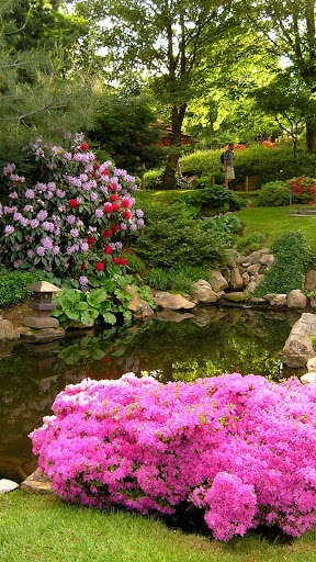 Run android online APK Garden Wallpapers-Green garden wallpaper from MyAndroid or emulate Garden Wallpapers-Green garden wallpaper using MyAndroid Run android online APK Garden Wallpapers-Green garden wallpaper from MyAndroid or emulate Garden Wallpapers-Green garden wallpaper using MyAndroid