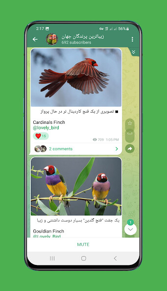 Run android online APK GB Messenger from MyAndroid or emulate GB Messenger using MyAndroid Run android online APK GB Messenger from MyAndroid or emulate GB Messenger using MyAndroid