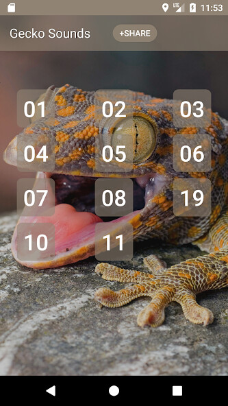 Emulate Android APK Gecko (Animal) Sounds Emulate Android APK Gecko (Animal) Sounds