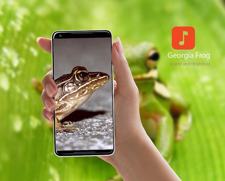 Run android online APK Georgia Frog Sounds from MyAndroid or emulate Georgia Frog Sounds using MyAndroid
