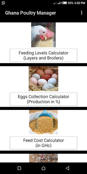 Run android online APK Ghana Poultry Manager from MyAndroid or emulate Ghana Poultry Manager using MyAndroid Run android online APK Ghana Poultry Manager from MyAndroid or emulate Ghana Poultry Manager using MyAndroid