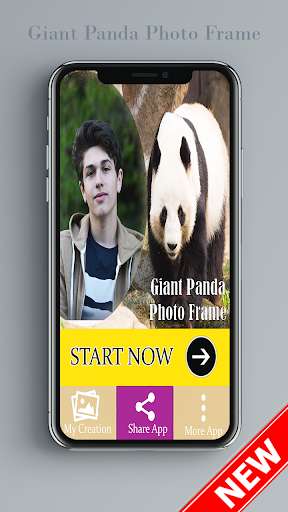 Run android online APK Giant Panda Photo Frame / Panda Photo Editor from MyAndroid or emulate Giant Panda Photo Frame / Panda Photo Editor using MyAndroid