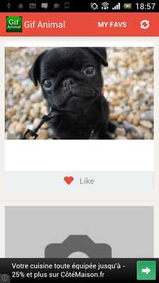 Emulate Android APK Gif Animal Emulate Android APK Gif Animal