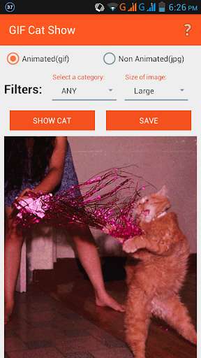 Emulate Android APK GIF Cat Show Emulate Android APK GIF Cat Show