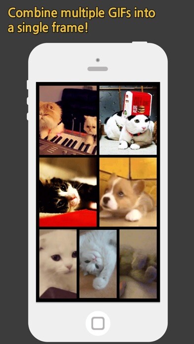 Emulate iPhone app GIF Grid Pro - Combine multiple GIFs into frames using MyAndroid Emulate iPhone app GIF Grid Pro - Combine multiple GIFs into frames using MyAndroid