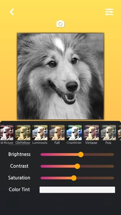 Emulate iPhone app GIF TALK: GIF CREATOR & EDITOR using MyAndroid