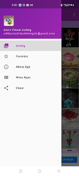 Run android online APK Glass Flower Gallery from MyAndroid or emulate Glass Flower Gallery using MyAndroid