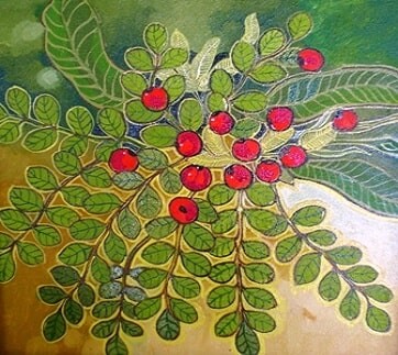 Emulate Android APK glass painting ideas Emulate Android APK glass painting ideas