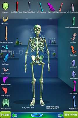 Emulate Android APK GM4L Skeleton Bone Game Emulate Android APK GM4L Skeleton Bone Game