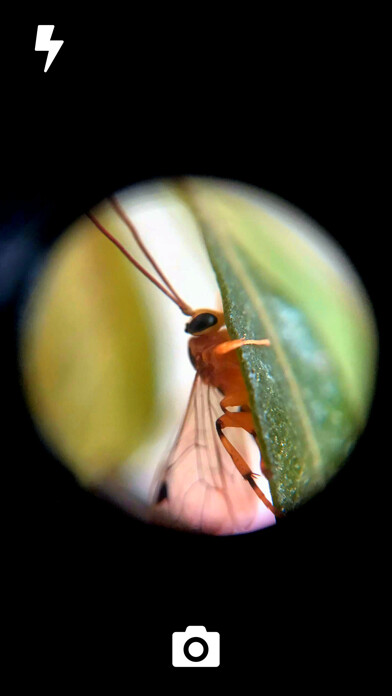 Emulate iPhone app GoCamera using MyAndroid