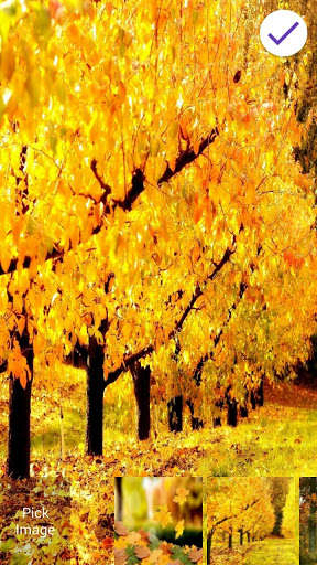 Run android online APK Golden Autumn Leaves from MyAndroid or emulate Golden Autumn Leaves using MyAndroid