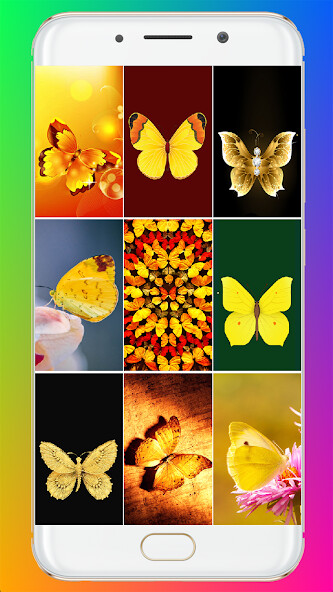 Run android online APK Golden Butterfly Wallpaper from MyAndroid or emulate Golden Butterfly Wallpaper using MyAndroid Run android online APK Golden Butterfly Wallpaper from MyAndroid or emulate Golden Butterfly Wallpaper using MyAndroid