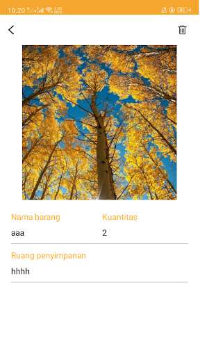 Run android online APK Golden Nuts from MyAndroid or emulate Golden Nuts using MyAndroid