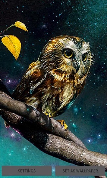 Run android online APK Golden Owl Live Wallpaper from MyAndroid or emulate Golden Owl Live Wallpaper using MyAndroid