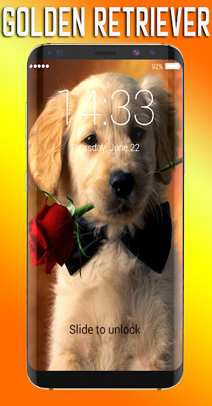 Run android online APK Golden Retriever Lock Screen from MyAndroid or emulate Golden Retriever Lock Screen using MyAndroid Run android online APK Golden Retriever Lock Screen from MyAndroid or emulate Golden Retriever Lock Screen using MyAndroid
