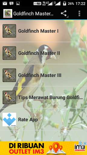 Emulate Android APK Goldfinch Master Mp3