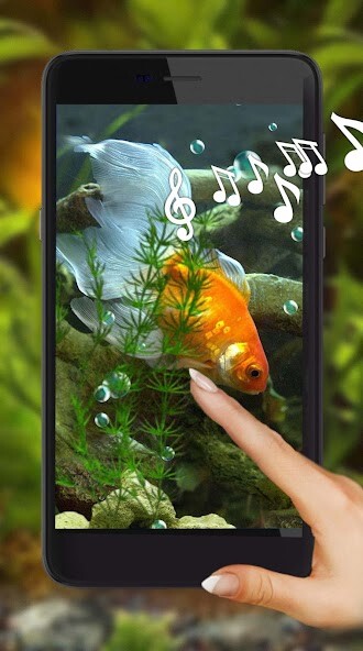 Run android online APK Gold Fishes Wallpaper from MyAndroid or emulate Gold Fishes Wallpaper using MyAndroid