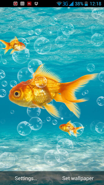 Emulate Android APK Gold Fish Live Wallpaper Emulate Android APK Gold Fish Live Wallpaper